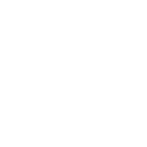 TikTok Icon